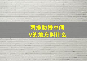 两排肋骨中间v的地方叫什么