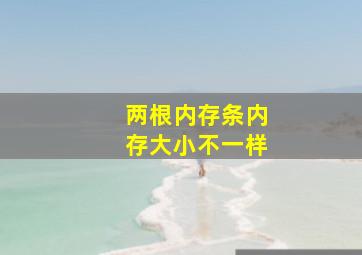 两根内存条内存大小不一样