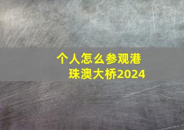 个人怎么参观港珠澳大桥2024