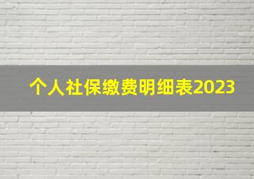 个人社保缴费明细表2023