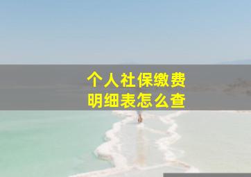 个人社保缴费明细表怎么查