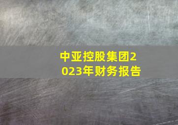 中亚控股集团2023年财务报告