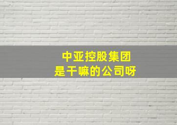 中亚控股集团是干嘛的公司呀