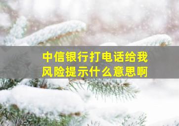 中信银行打电话给我风险提示什么意思啊