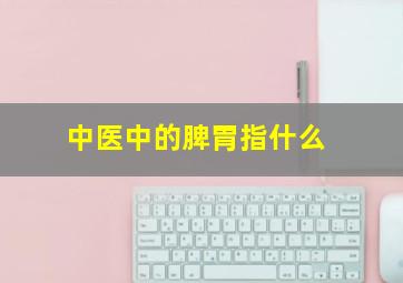 中医中的脾胃指什么