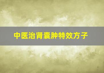 中医治肾囊肿特效方子