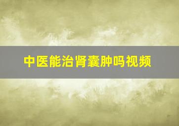 中医能治肾囊肿吗视频