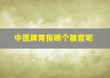 中医脾胃指哪个器官呢