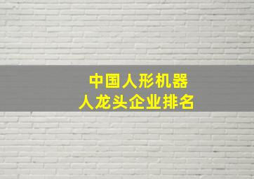 中国人形机器人龙头企业排名