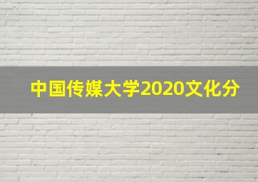 中国传媒大学2020文化分