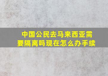 中国公民去马来西亚需要隔离吗现在怎么办手续