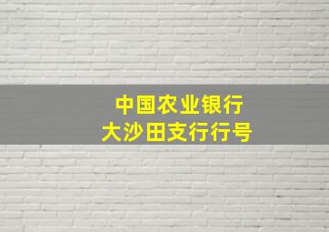 中国农业银行大沙田支行行号