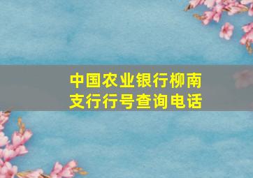 中国农业银行柳南支行行号查询电话