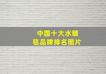 中国十大水暖毯品牌排名图片