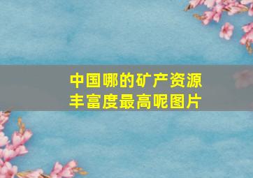 中国哪的矿产资源丰富度最高呢图片