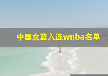 中国女篮入选wnba名单