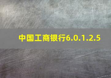 中国工商银行6.0.1.2.5