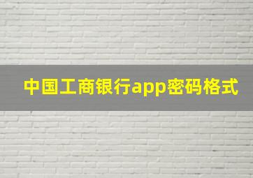 中国工商银行app密码格式