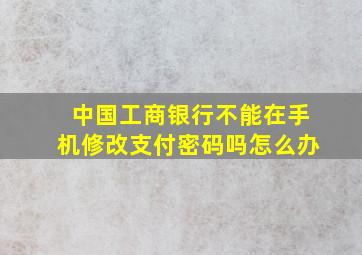 中国工商银行不能在手机修改支付密码吗怎么办