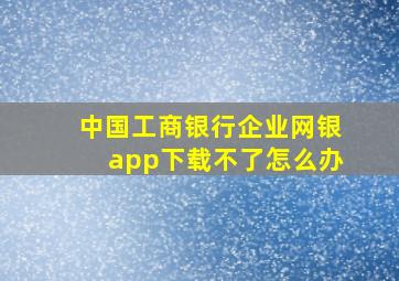 中国工商银行企业网银app下载不了怎么办