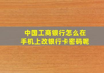 中国工商银行怎么在手机上改银行卡密码呢