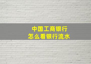 中国工商银行怎么看银行流水