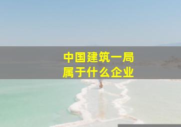 中国建筑一局属于什么企业