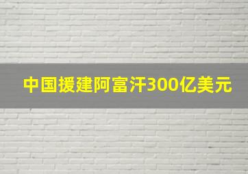 中国援建阿富汗300亿美元