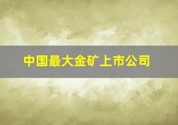 中国最大金矿上市公司