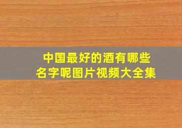 中国最好的酒有哪些名字呢图片视频大全集