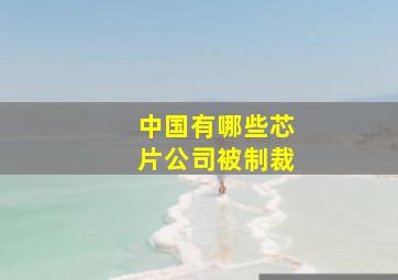 中国有哪些芯片公司被制裁