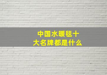 中国水暖毯十大名牌都是什么