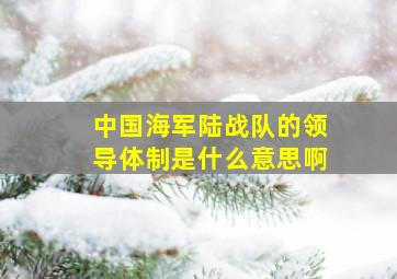 中国海军陆战队的领导体制是什么意思啊