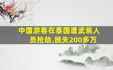 中国游客在泰国遭武装人员抢劫,损失200多万