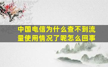 中国电信为什么查不到流量使用情况了呢怎么回事