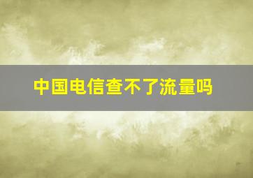 中国电信查不了流量吗