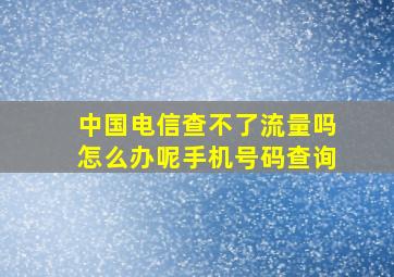 中国电信查不了流量吗怎么办呢手机号码查询