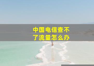 中国电信查不了流量怎么办