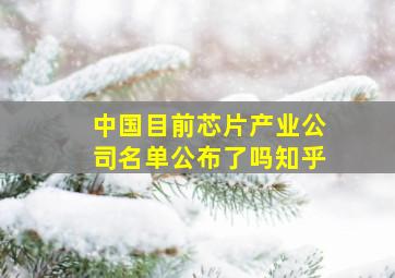 中国目前芯片产业公司名单公布了吗知乎