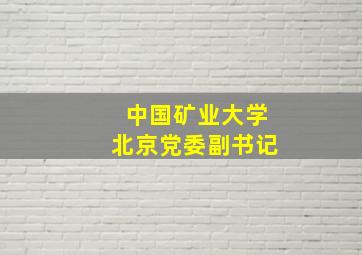 中国矿业大学北京党委副书记