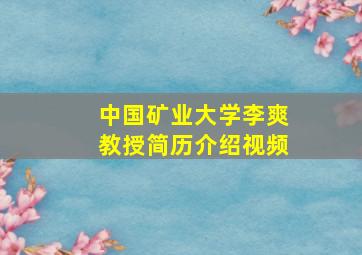 中国矿业大学李爽教授简历介绍视频