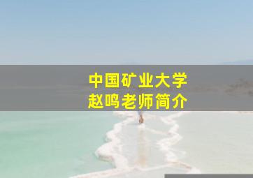 中国矿业大学赵鸣老师简介