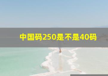 中国码250是不是40码