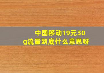 中国移动19元30g流量到底什么意思呀