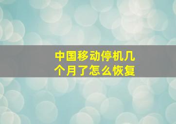 中国移动停机几个月了怎么恢复