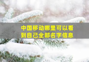 中国移动哪里可以看到自己全部名字信息