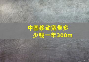 中国移动宽带多少钱一年300m