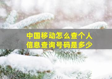 中国移动怎么查个人信息查询号码是多少