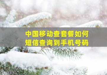 中国移动查套餐如何短信查询到手机号码