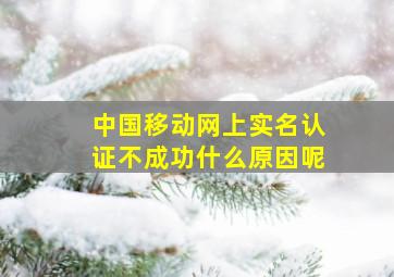 中国移动网上实名认证不成功什么原因呢